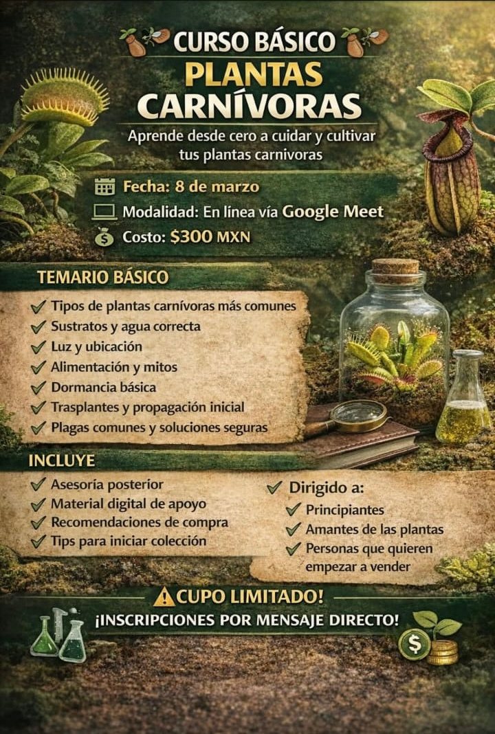 Carnivorous plant course: Basics (online)