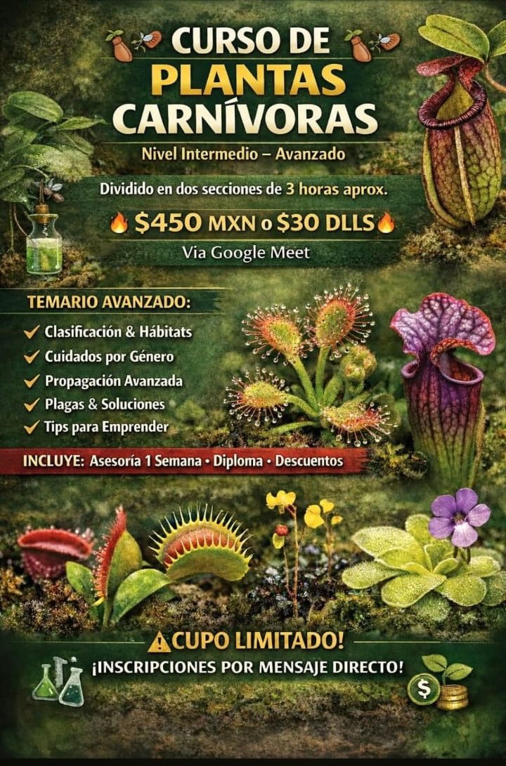 Carnivorous plant course: Intermediate to Advanced (online)