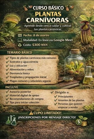 Carnivorous plant course: Basics (online)