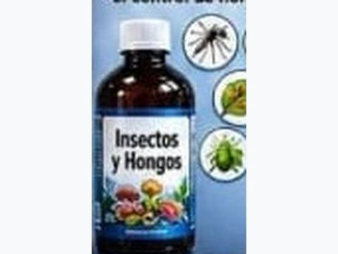 Insecticide for insects and fungi