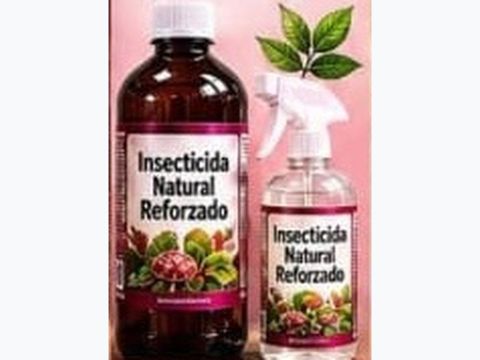 Reinforced natural insecticide