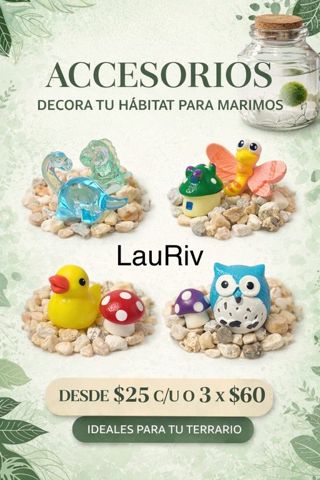 Terrarium decoration figures